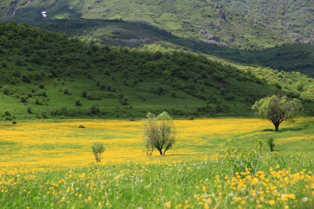 Armenia Weather Spring