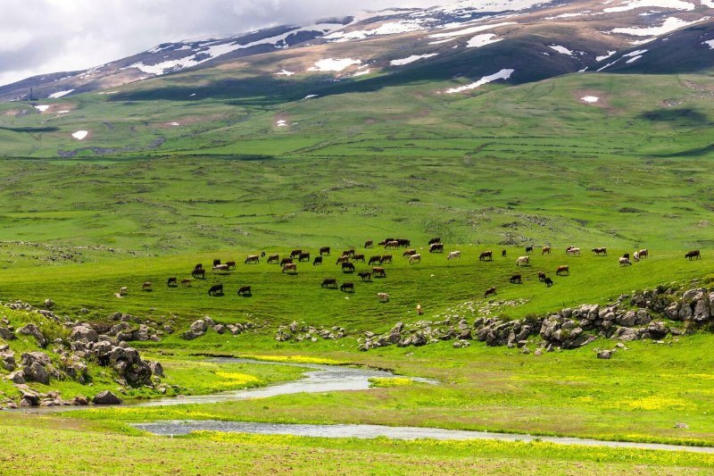 Landscape around Amberd