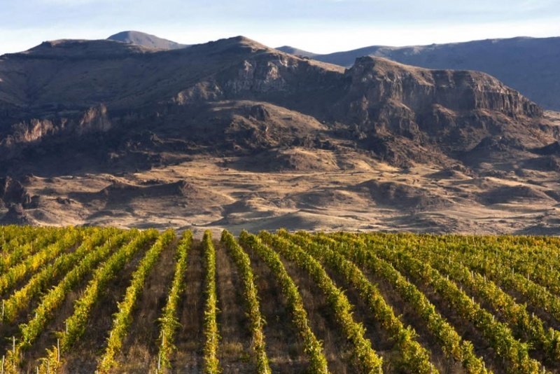 Vayots Dzor Wine Region