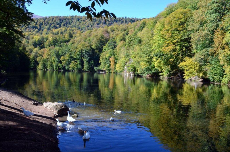 Parz Lake in Dilijan wildlife