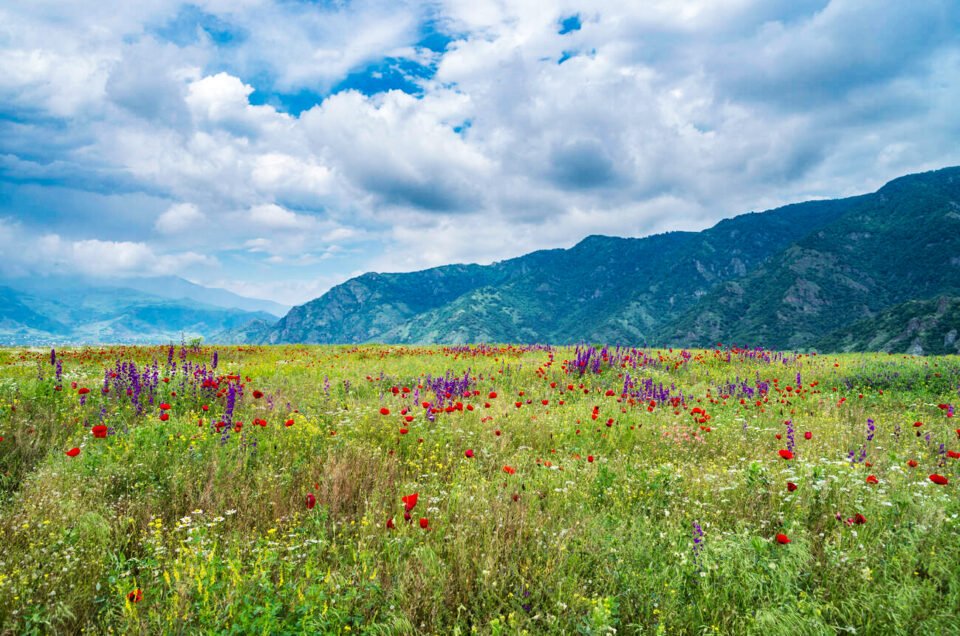 Top 5 Must-Visit Destinations in Northern Armenia